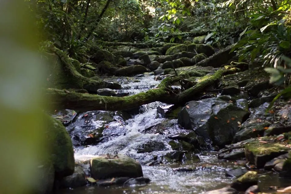 Pousada Bergen Huetten Rio Fortuna Alojamento de Turismo Selvagem